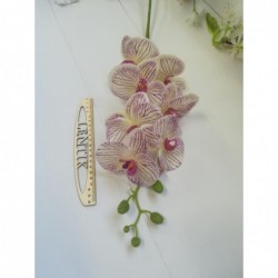 орхидея 220 руб при покупке...